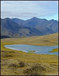 Valley in Gates of the Arctic National Park