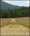 Lonely dirt road leading to the Selway-Bitterroot Wilderness
