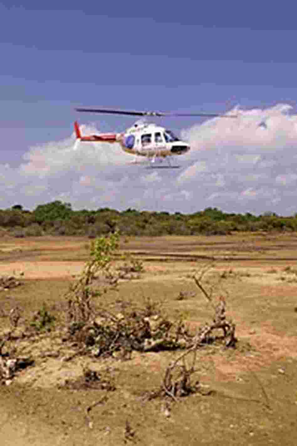 A helicopter hired by The Nature Conservancy flies low over a coastal grassland plain A helicopter hired by The Nature Conservancy flies low over a coastal grassland plain