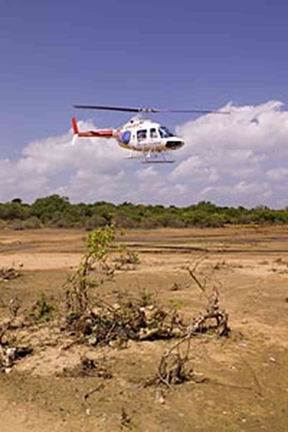 A helicopter hired by The Nature Conservancy flies low over a coastal grassland plain A helicopter hired by The Nature Conservancy flies low over a coastal grassland plain