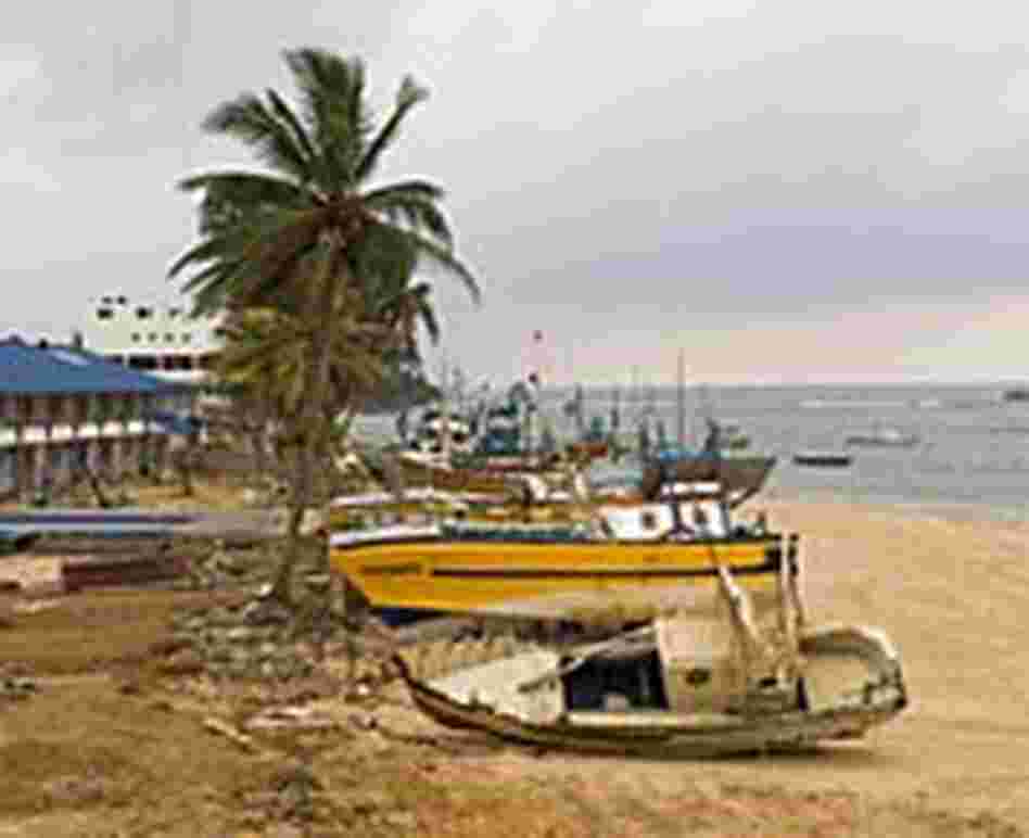 Tsunami-damaged fishing, dive and glass-bottom boats used for coral reef viewing litter a shoreline