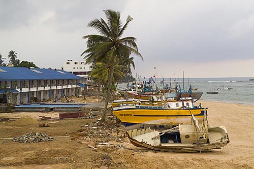 Tsunami-damaged fishing, dive and glass-bottom boats used for coral reef viewing litter a shoreline