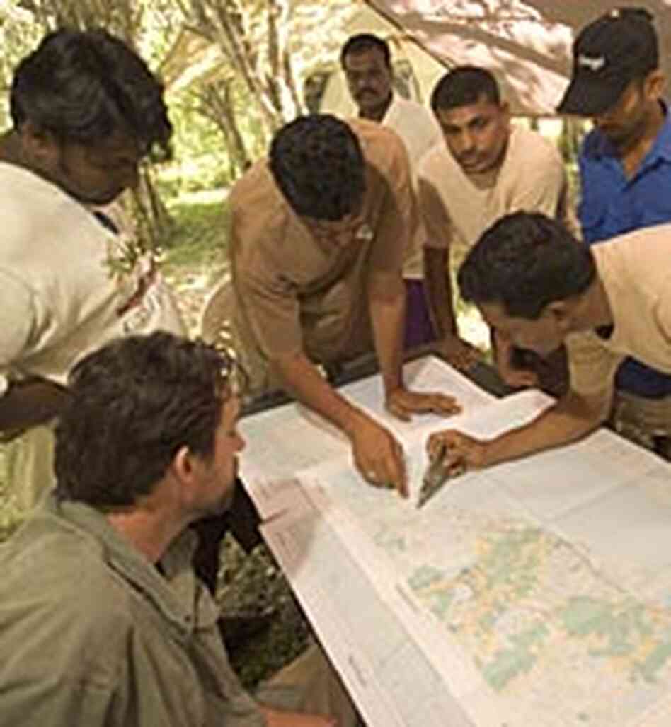 Members of a tsunami ecological damage assessment team Members of a tsunami ecological damage assessment team