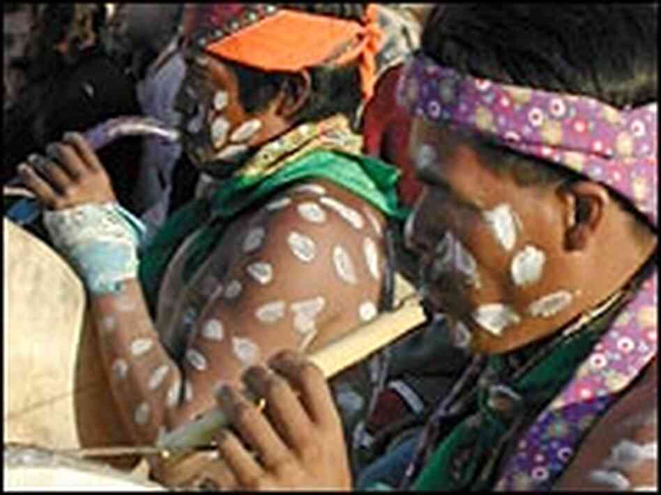 Tarahumara indians dressed as pinto horses play flutes and drums in Norogachi, Mexico. Tarahumara indians dressed as pinto horses play flutes and drums in Norogachi, Mexico.