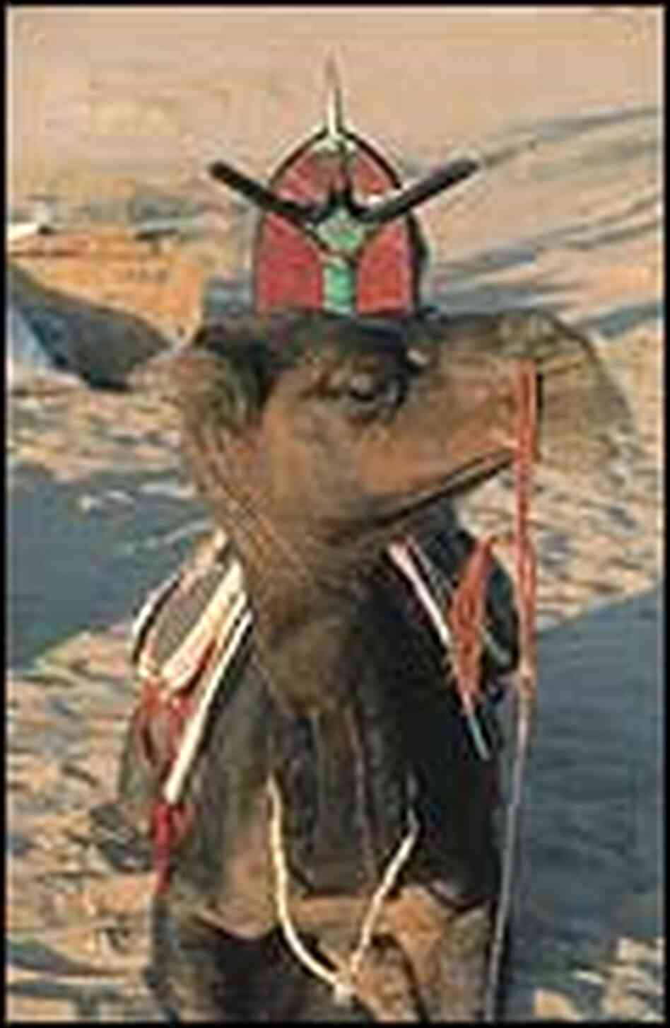 One of the expedition camels. One of the expedition camels.