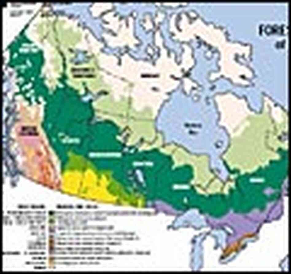 The Boreal Forrest, shown stretching across Canada