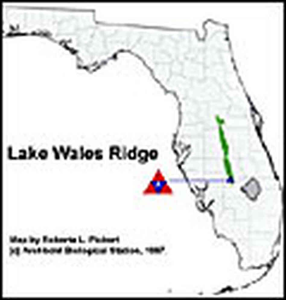 The Lake Wales Ridge, 'Florida's Attic' NPR