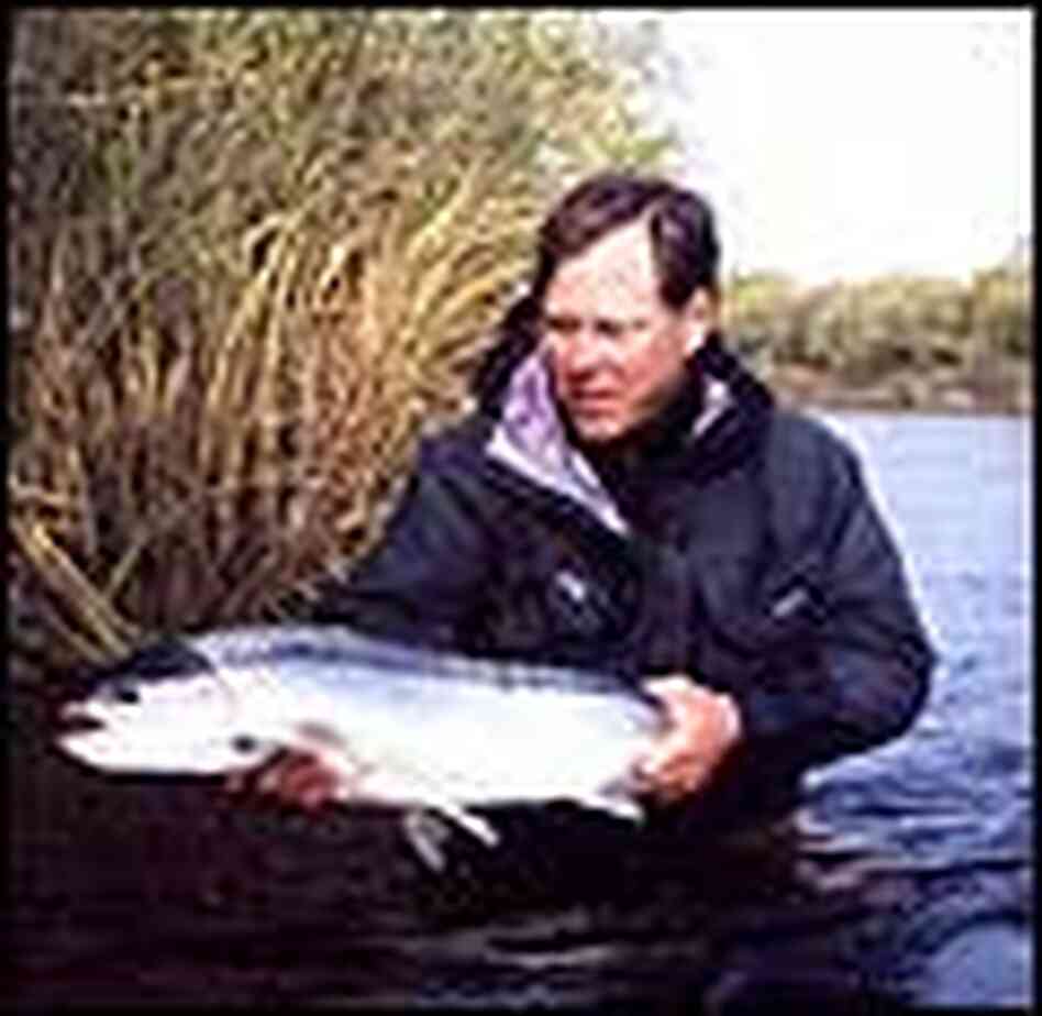 Guido Rahr, waist-deep in the Sopochnaya River, holding a steelhead trout. Guido Rahr, waist-deep in the Sopochnaya River, holding a steelhead trout.