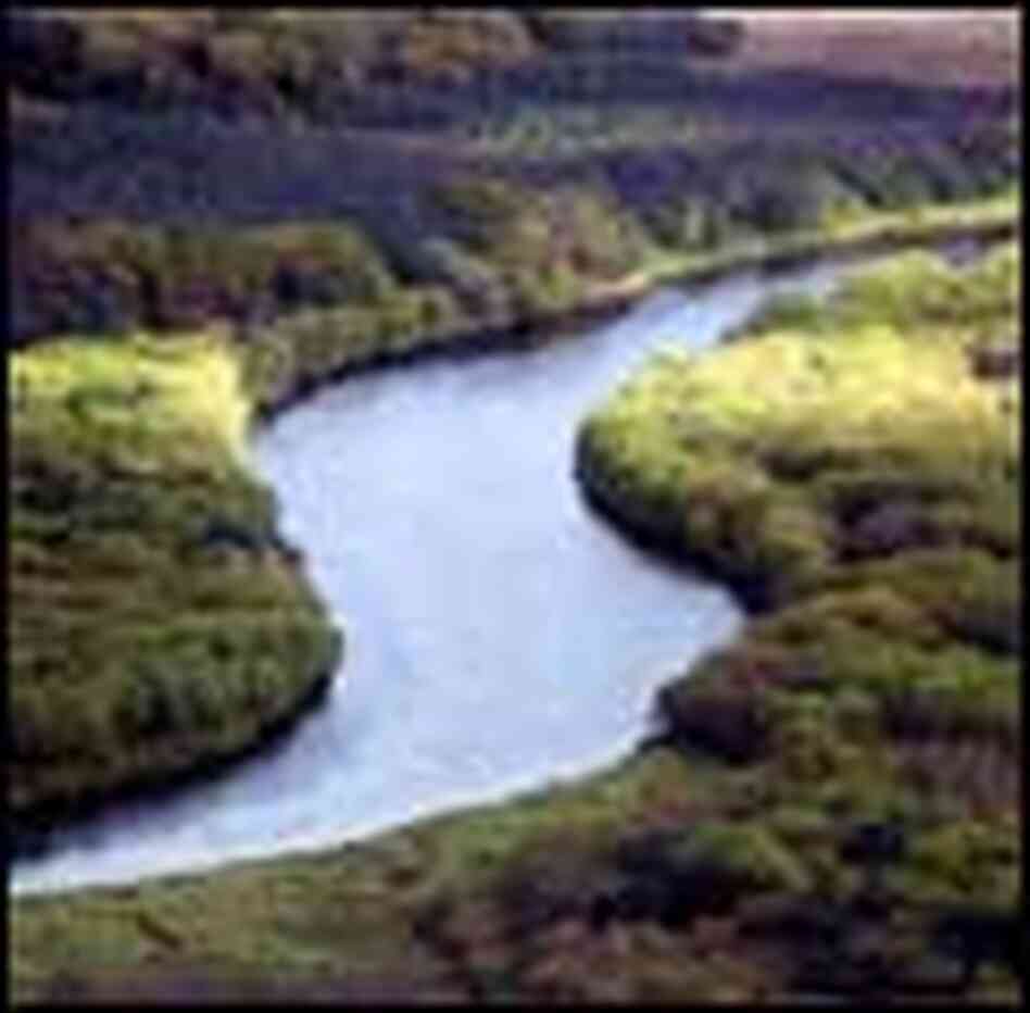 A bend in the Sopochnya River seen from high above. A forest lines the banks. A bend in the Sopochnya River seen from high above. A forest lines the banks.