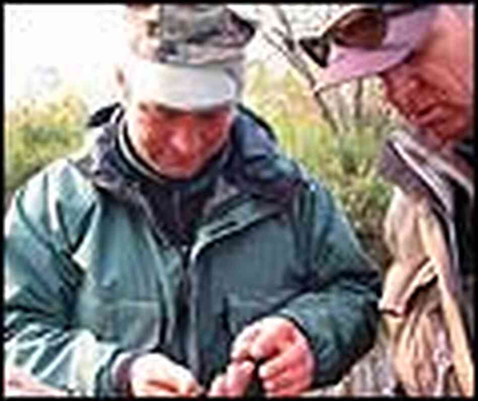 Biologists Kirill Kuzishchin and Jack Stanford examine a juvenile fish. Biologists Kirill Kuzishchin and Jack Stanford examine a juvenile fish.