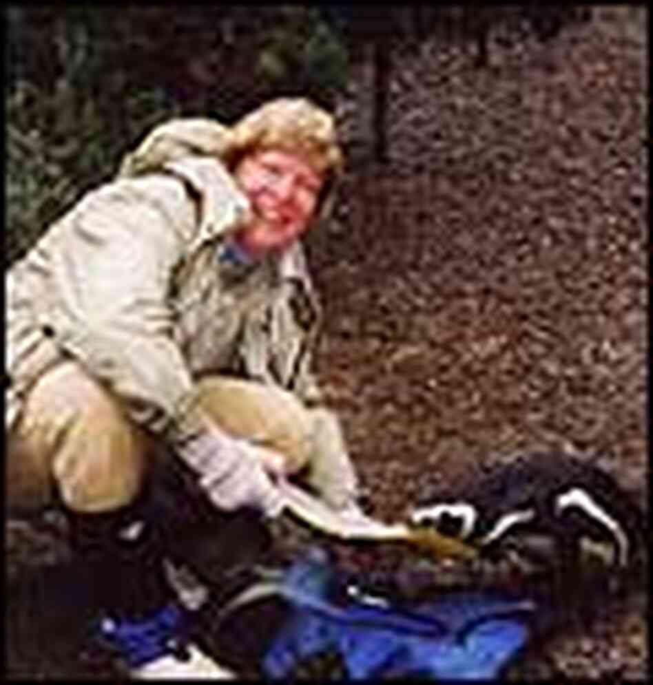 University of Washington biologist and penguin expert Dee Boersma. University of Washington biologist and penguin expert Dee Boersma.