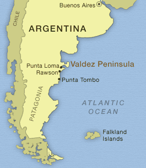 A map of Argentina, showing the areas the 
	expedition team visited. It shows the location of a penguin reserve at Punta Tombo,
	as well as Punta Loma and the Valdez Peninsula where the expedition team visited 
	researchers studying elephant seals 