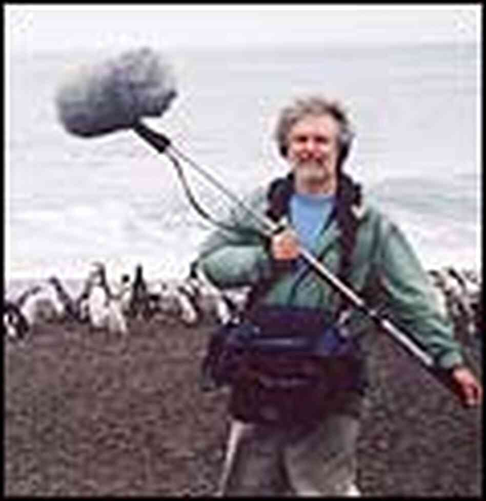 Radio Expeditions engineer Flawn Williams recording penguins. Radio Expeditions engineer Flawn Williams recording penguins.