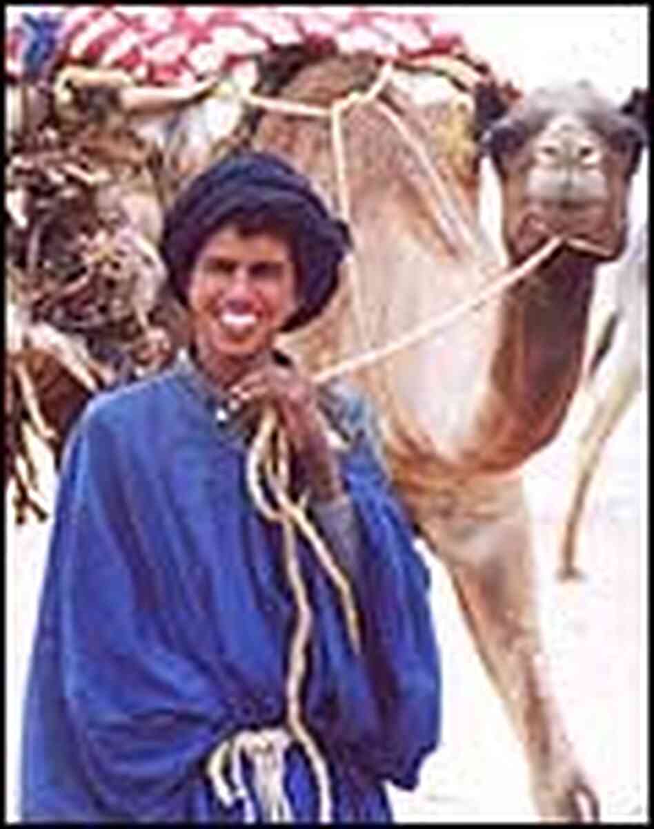 A Mali camel herder leading one of his animals. A Mali camel herder leading one of his animals.