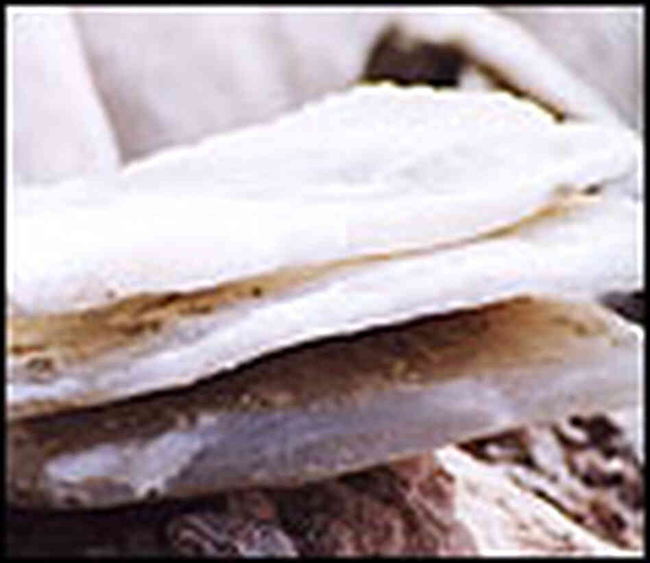 Slabs of salt mined from the Sahara. Slabs of salt mined from the Sahara.