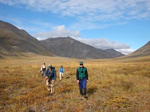 A group of four trekkers following a caribou trail through an unnamed valley 
		in Gates of the Arctic National Park