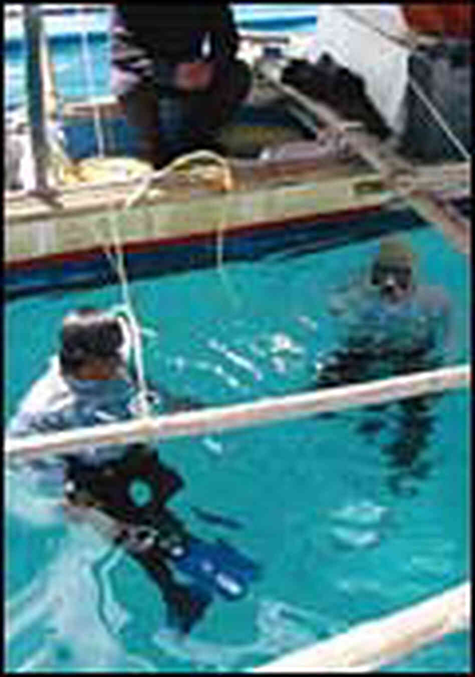 Divers lower themselves into the water to hunt for tropical fish in the Philippine Islands. Divers lower themselves into the water to hunt for tropical fish in the Philippine Islands.
