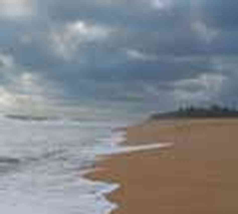 A beach in Benin A beach in Benin