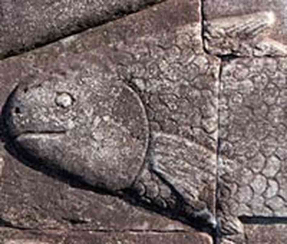 A giant barb etched into an ancient stone wall