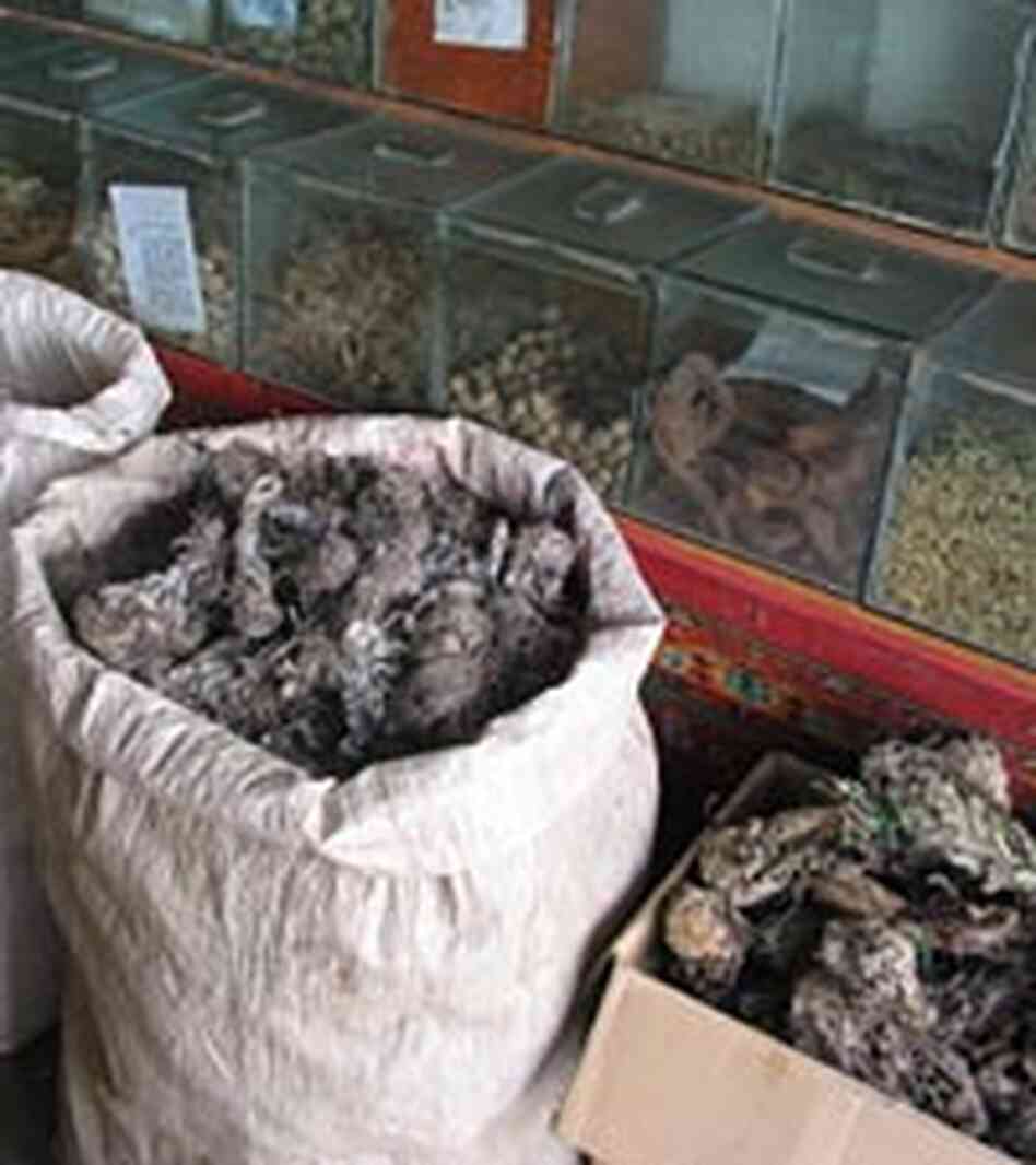Bags and boxes of dried snow lotus blossoms. Bags and boxes of dried snow lotus blossoms.