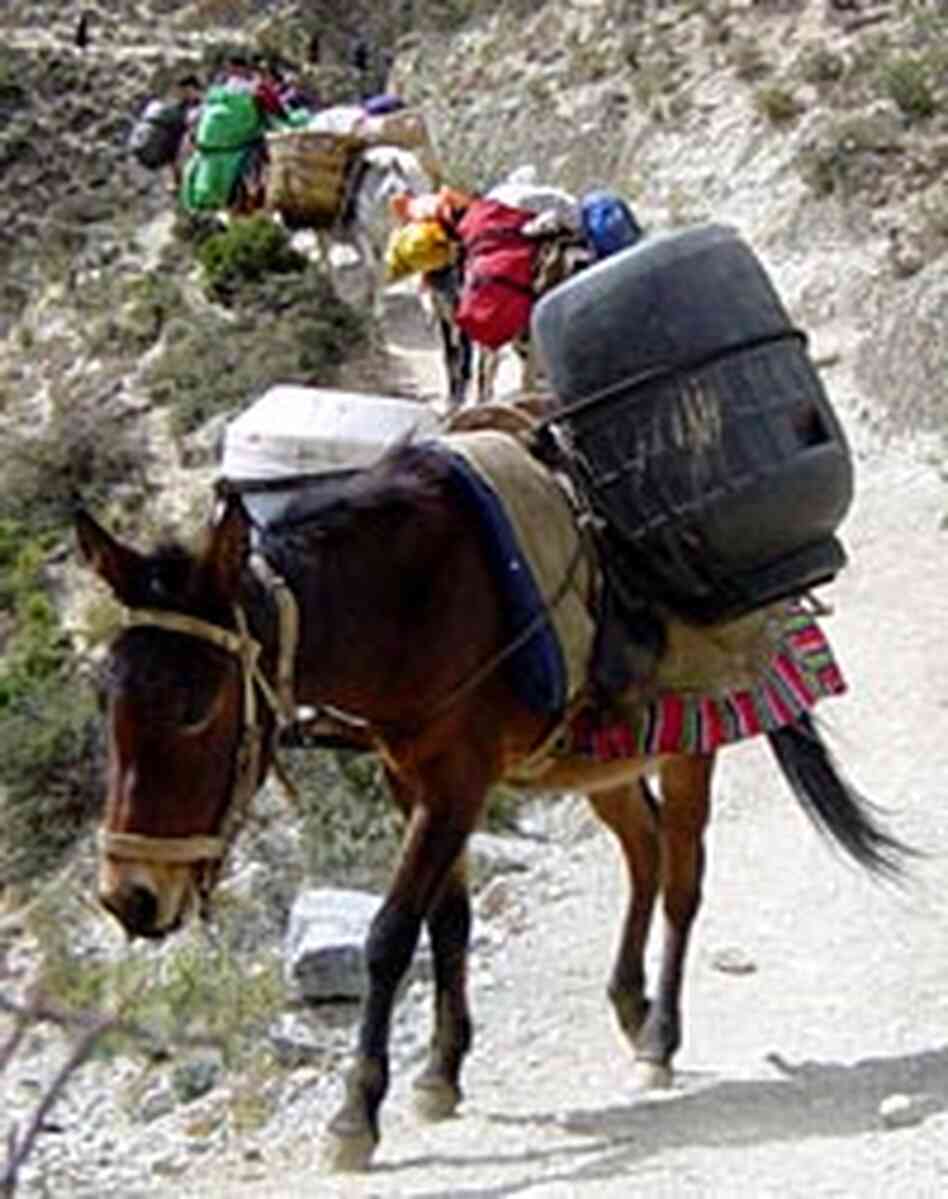 A caravan of traders follows the pilgrimage trail.