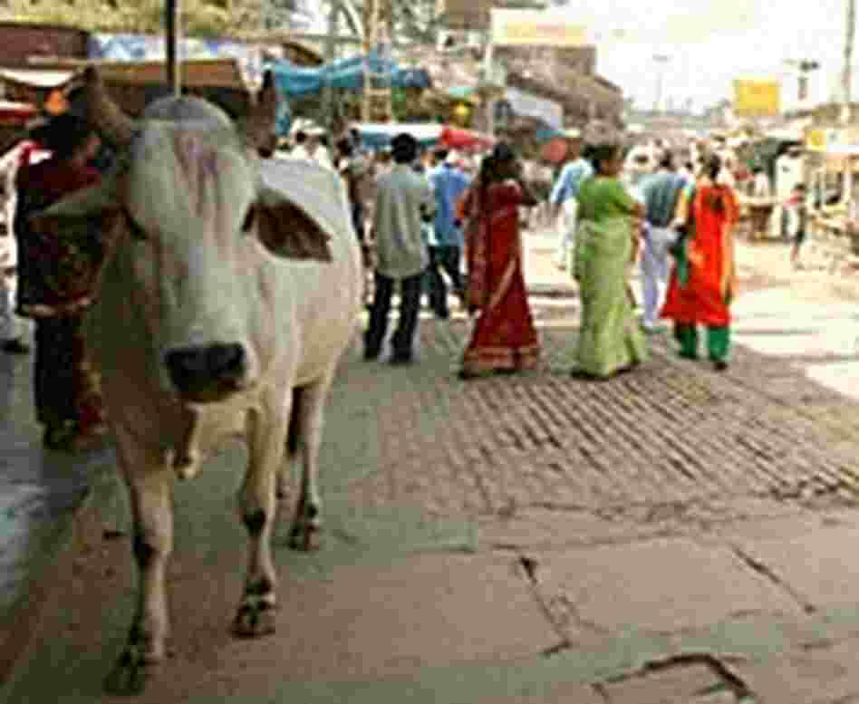 Street scene in Vrindavan Street scene in Vrindavan