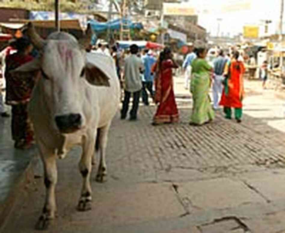 Street scene in Vrindavan Street scene in Vrindavan
