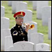 A soldier plays taps at a funeral at Arlington National Cemetary.