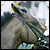 Barbaro
