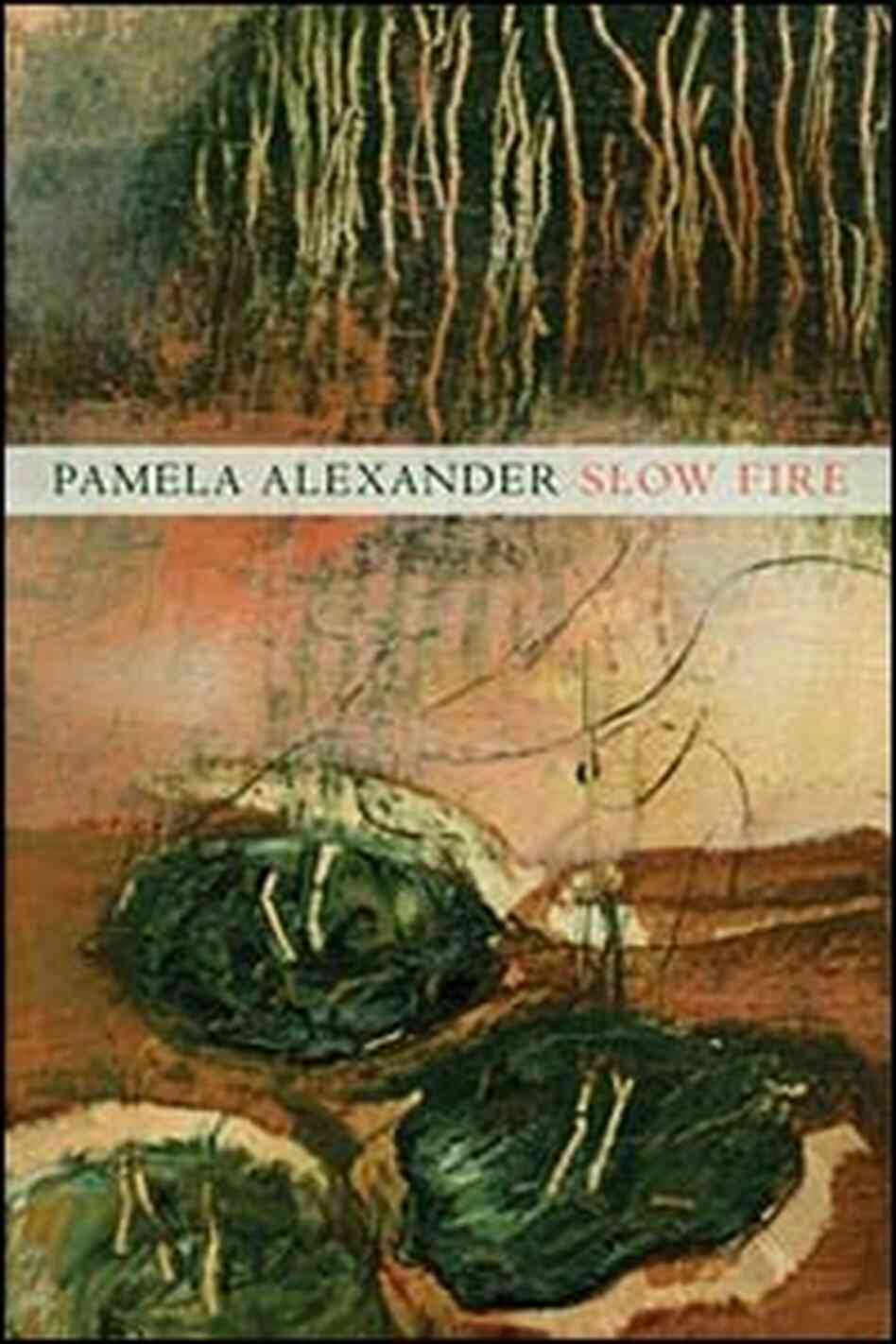 Cover of 'Slow Fire' Cover of 'Slow Fire'