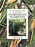 Temperate Bamboo