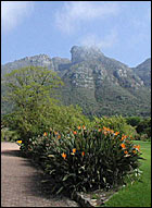 Kirstenbosch Gardens