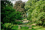 A scene from the Rydal Mount garden