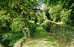 A view of the paths that Wordsworth walked