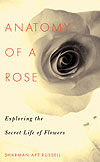 Anatomy Of A Rose