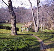 Down to the Pergola