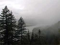 Drippy northwest view