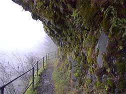 Guardrails