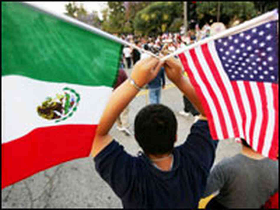 Immigration demonstrator Immigration demonstrator