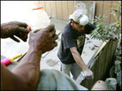 Immigrants at work Immigrants at work