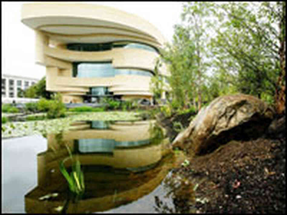 Museum Museum