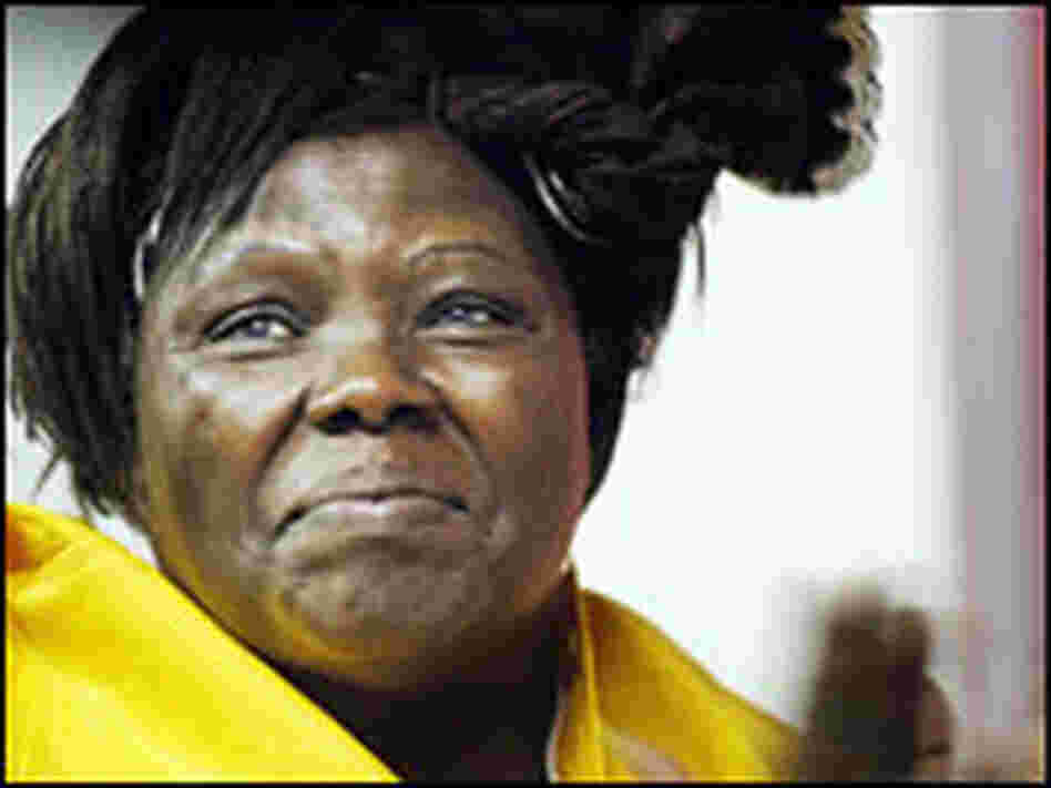 Wangari Maathai Wangari Maathai