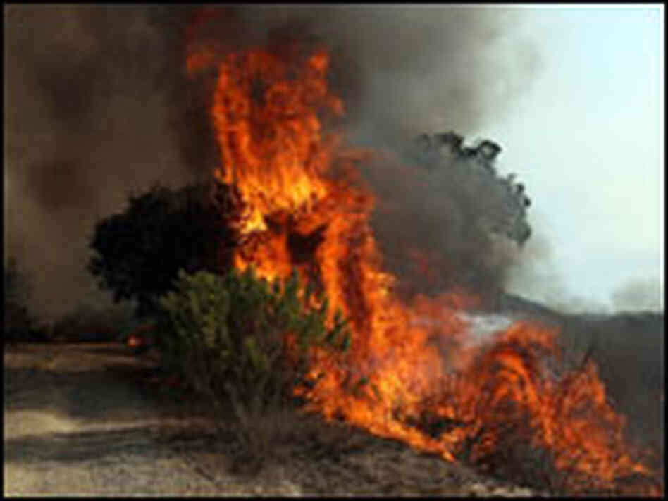 California Wildfires California Wildfires