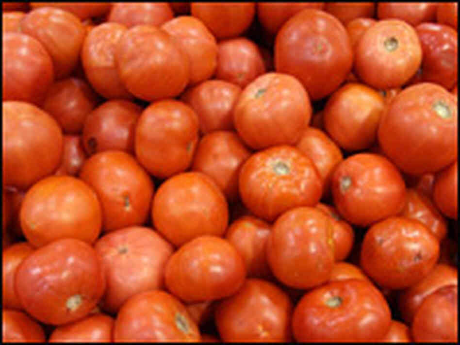 Tomatoes Tomatoes