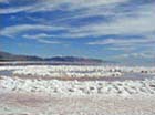 Robert Smithson's