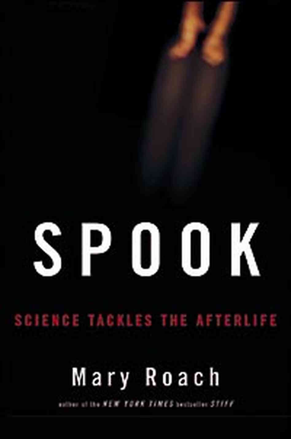 Detail from the cover of 'Spook' Detail from the cover of 'Spook'