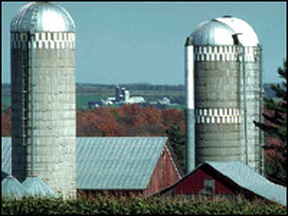 Silos in Wausau, Wisc. Silos in Wausau, Wisc.