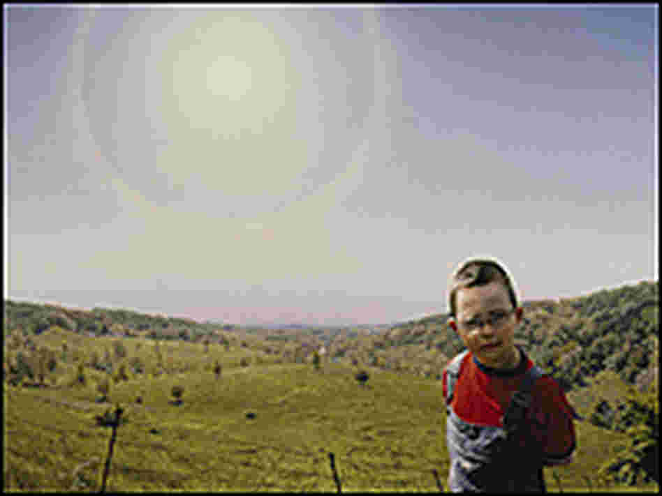A small boy in a green pasture with a huge, hazy sun. A small boy in a green pasture with a huge, hazy sun.