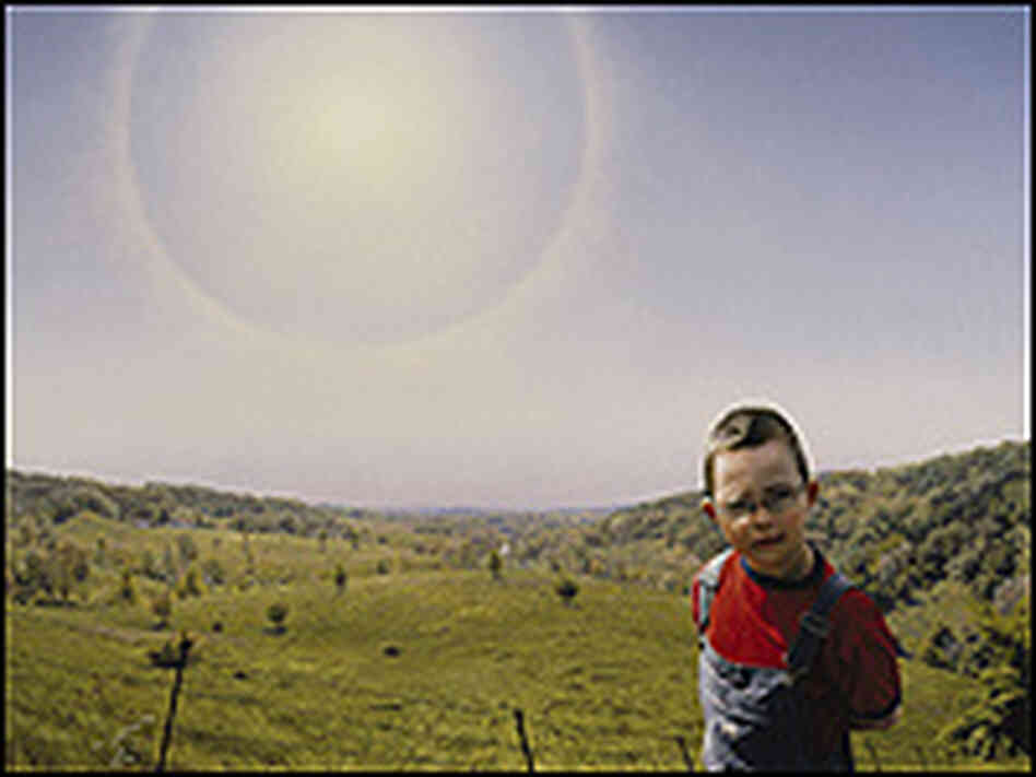 A small boy in a green pasture with a huge, hazy sun. A small boy in a green pasture with a huge, hazy sun.