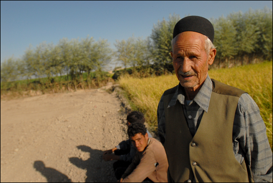 Village elder Jaafar Hosseini with workers near a rice field outside of Isfahan